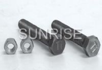 Titanium Screws and Nuts